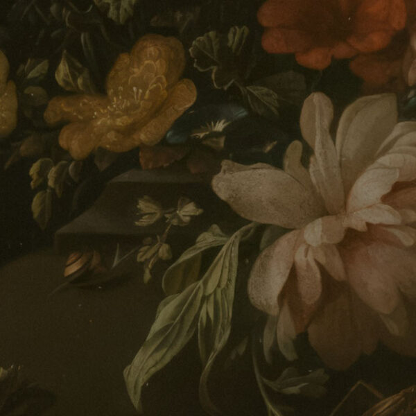 fond rangée accueil