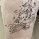 baleine